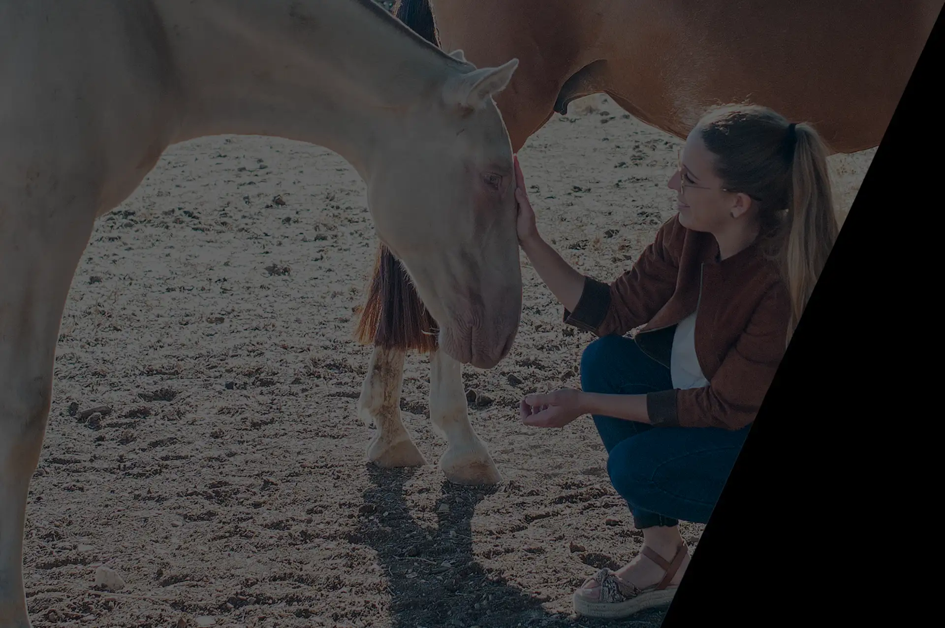 Mujer acariciando caballo
